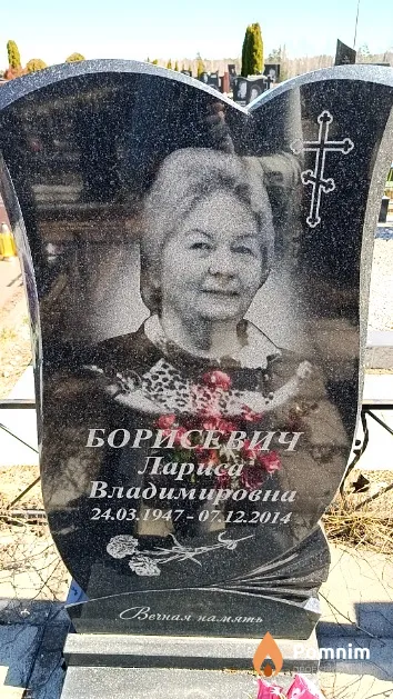 Борисевич Лариса Владимировна