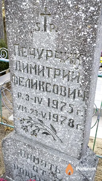 Печурчик Димитрий Феликсович
