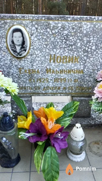 Новик Елена Ильинична