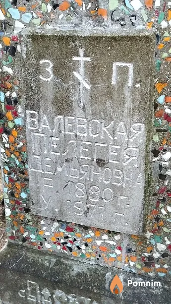 Валевская Пелегея Демьяновна