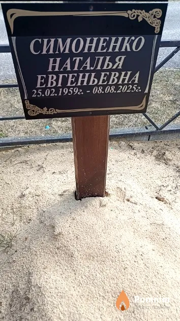 Симоненко Наталья Евгеньевна