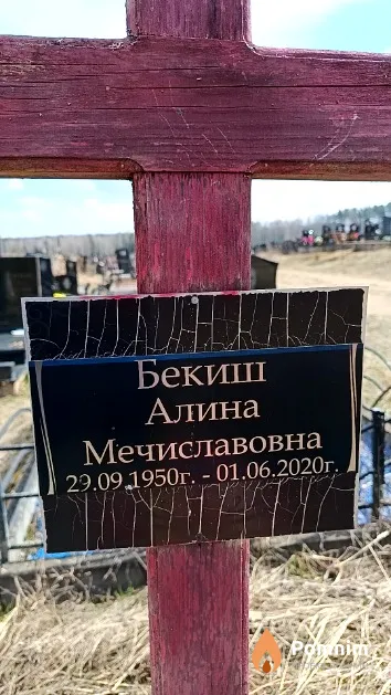 Бекиш Алина Мечиславовна
