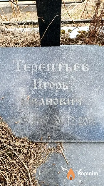 Терентьев Игорь Иванович