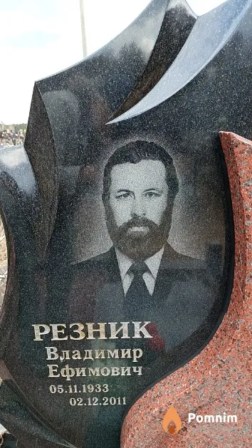 Резник Владимир Ефимович