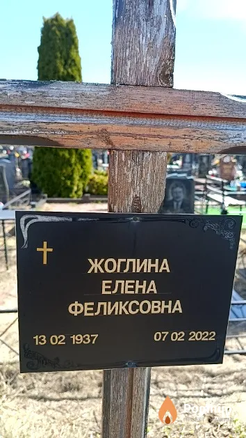 Жоглина Елена Феликсовна