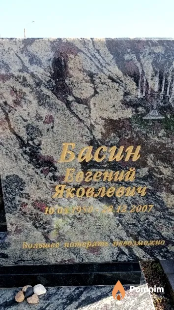 Басин Евгений Яковлевич