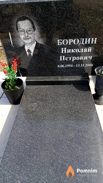 Бородин Николай Петрович