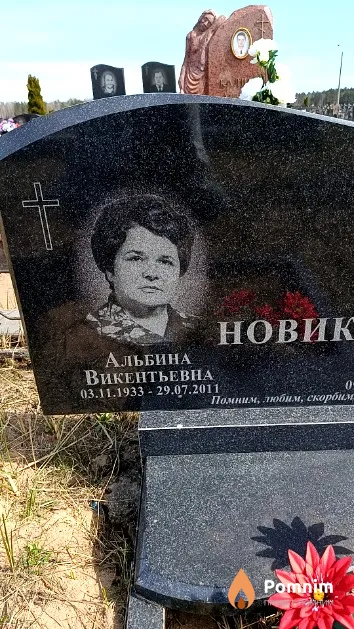 Новик Альбина Викентьевна