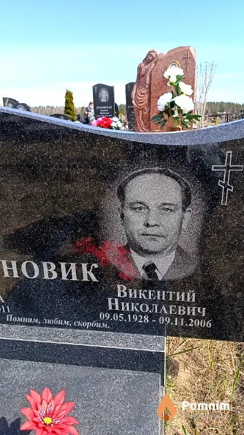 Новик Викентий Николаевич