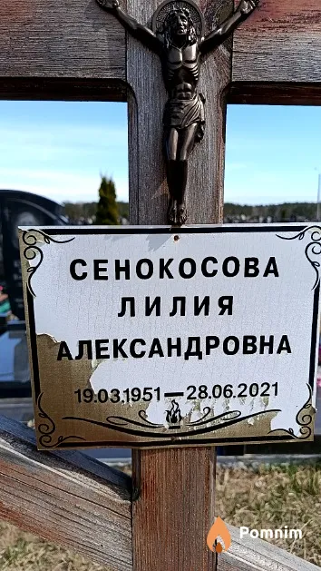 Сенокосова Лилия Александровна