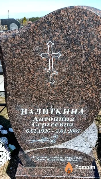 Налиткина Антонина Сергеевна