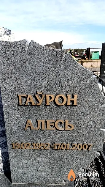 Гаўрон Алесь