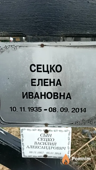 Сецко Елена Ивановна