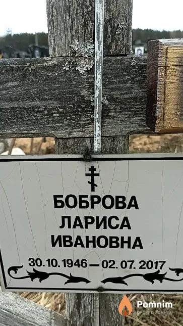 Боброва Лариса Ивановна