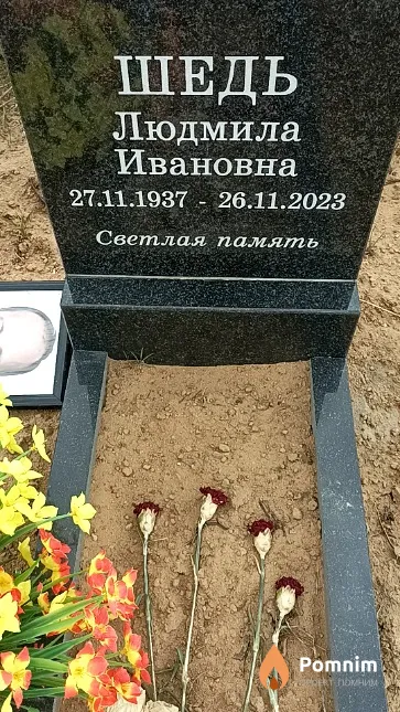 Шедь Людмила Ивановна