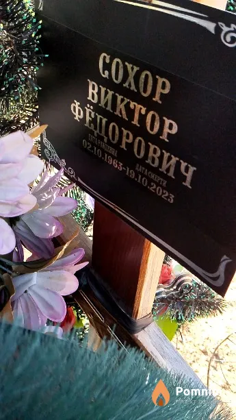 Сохор Виктор Фёдорович