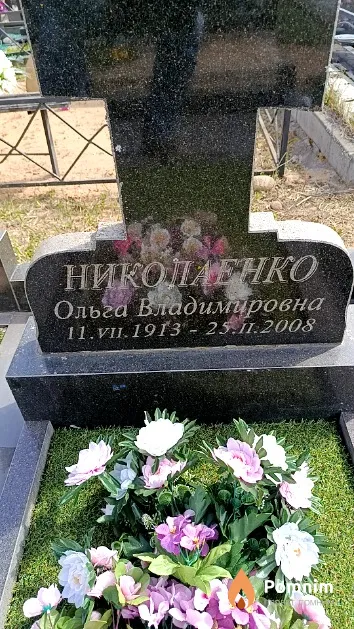 Николаенко Ольга Владимировна