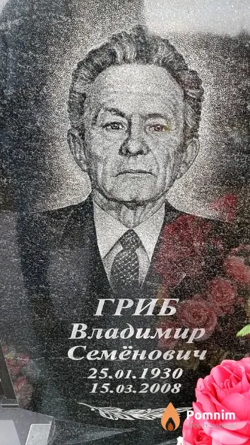 Гриб Владимир Семёнович