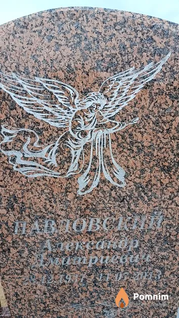 Павловский Александр Дмитриевич