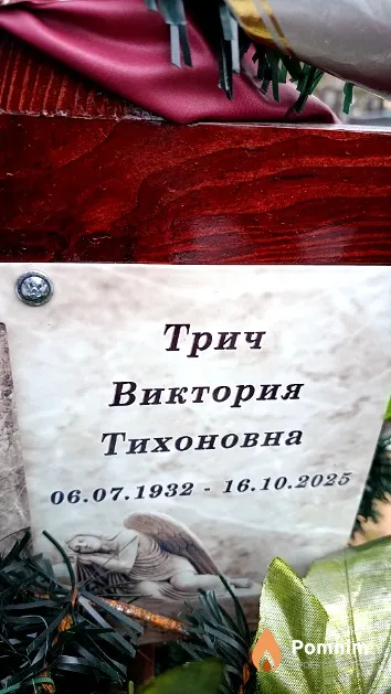 Трич Виктория Тихоновна