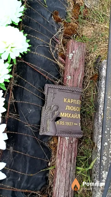 Карпенко Любовь Михайловна