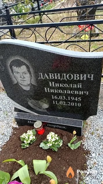 Давидович Николай Николаевич