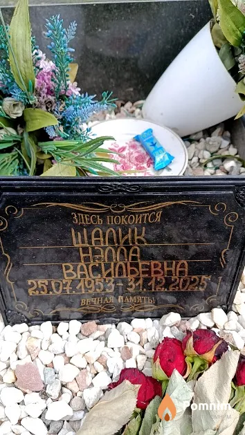 Шалик Нэлла Васильевна