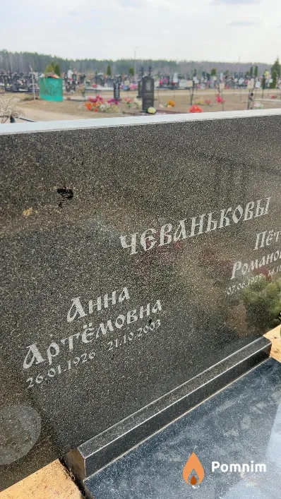 Чеванькова Анна Артёмовна