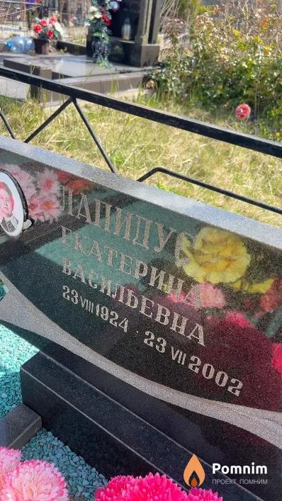 Лапидус Екатерина Васильевна