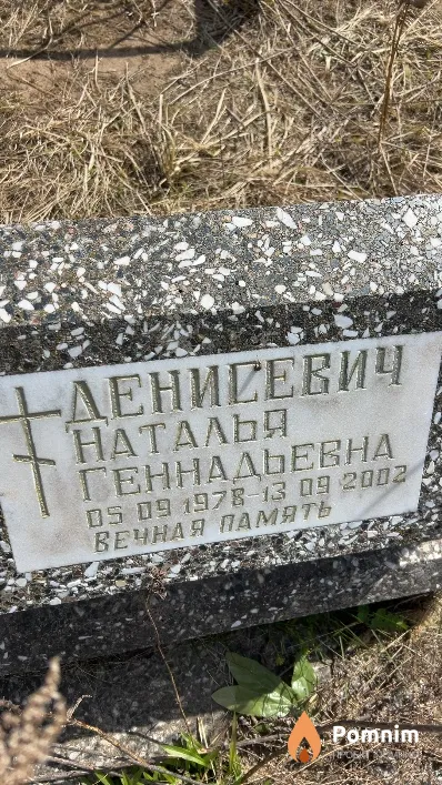 Денисевич Наталья Геннадьевна