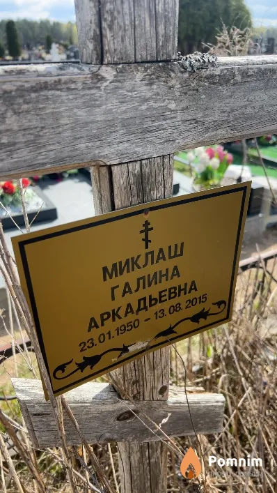 Миклаш Галина Аркадьевна