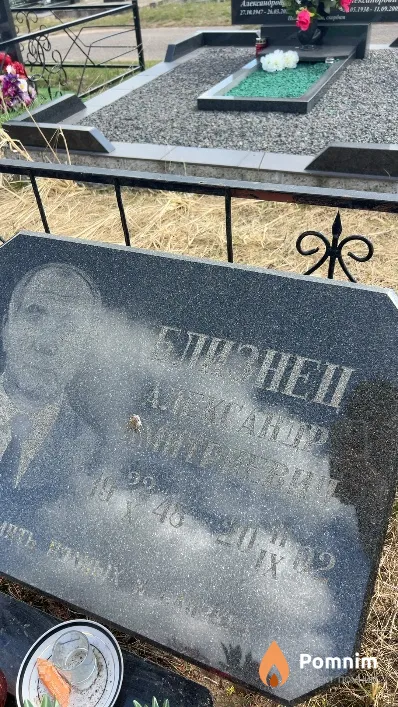 Близнец Александр Дмитриевич