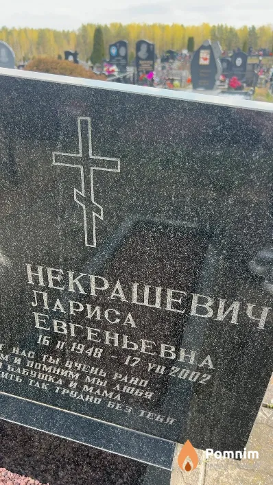 Некрашевич Лариса Евгеньевна