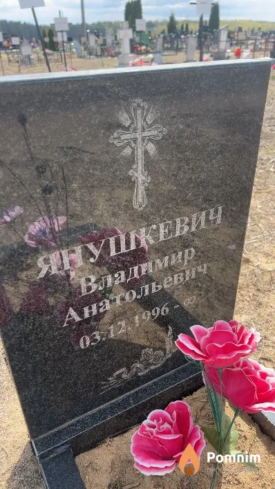 Янушкевич Владимир Анатольевич