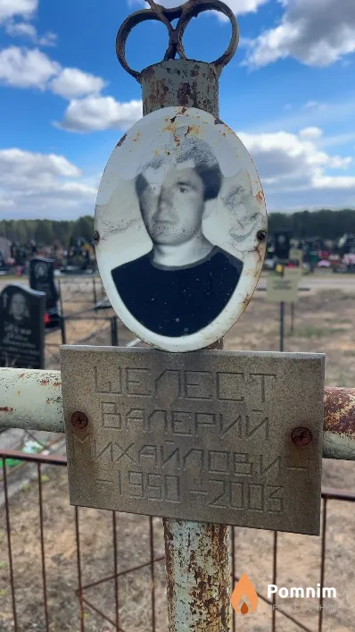 Шелест Валерий Михайлович