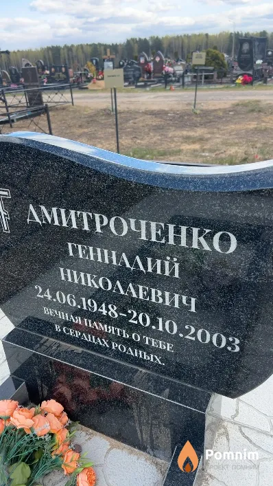 Дмитроченко Геннадий Николаевич