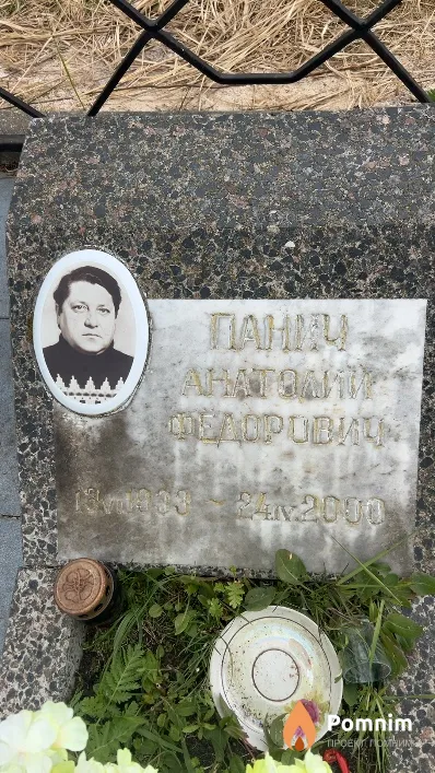 Панич Анатолий Федорович