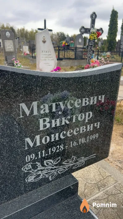 Матусевич Виктор Моисеевич