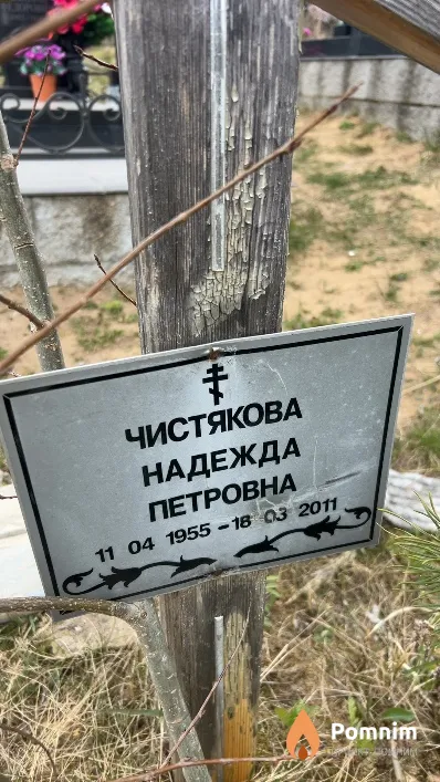 Чистякова Надежда Петровна