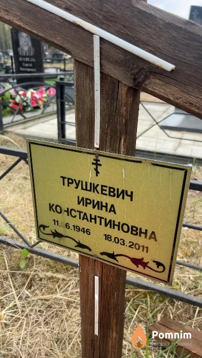 Трушкевич Ирина Константиновна