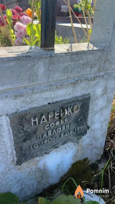 Нарейко Софья Павловна