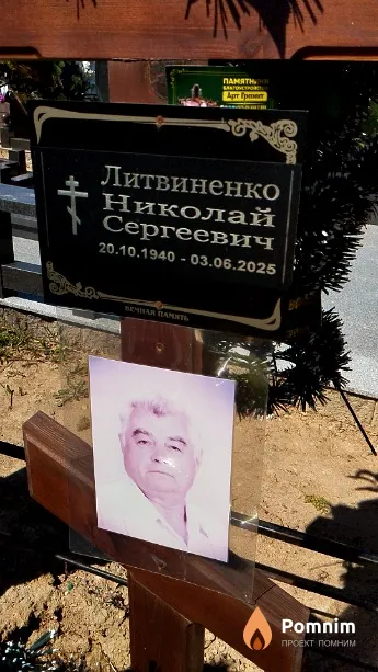 Литвиненко Николай Сергеевич