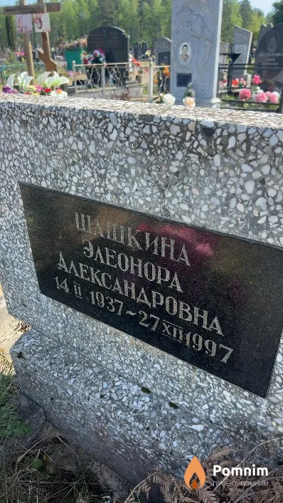 Шашкина Элеонора Александровна