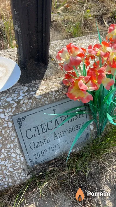 Слесарева Ольга Антоновна