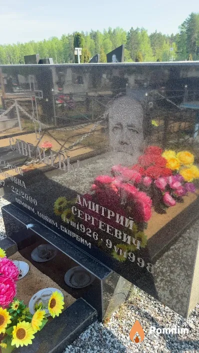 Савельев Дмитрий Сергеевич