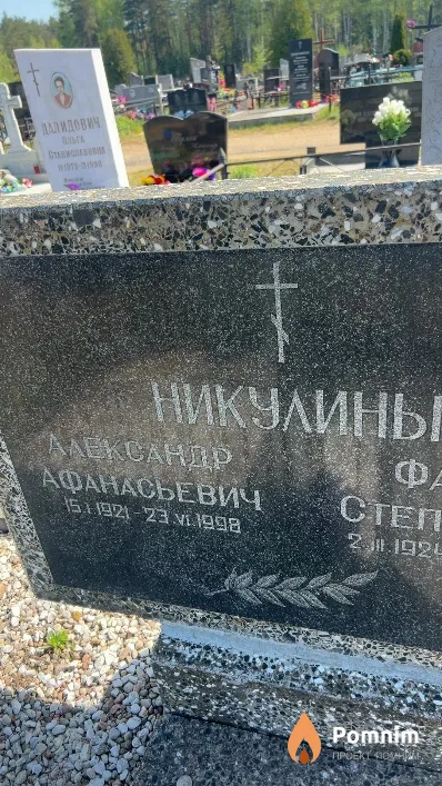 Никулин Александр Афанасьевич