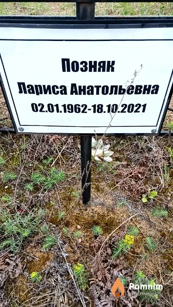 Позняк Лариса Анатольевна