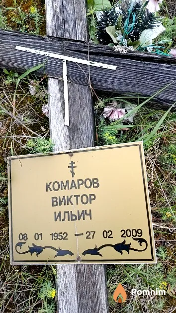 Комаров Виктор Ильич