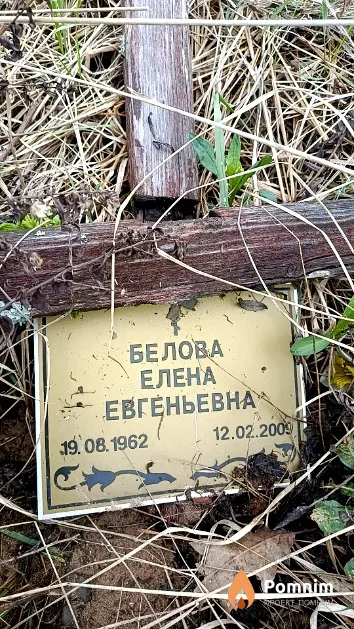 Белова Елена Евгеньевна