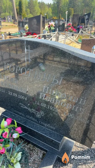Коротин Николай Иванович